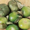 Tomatillo